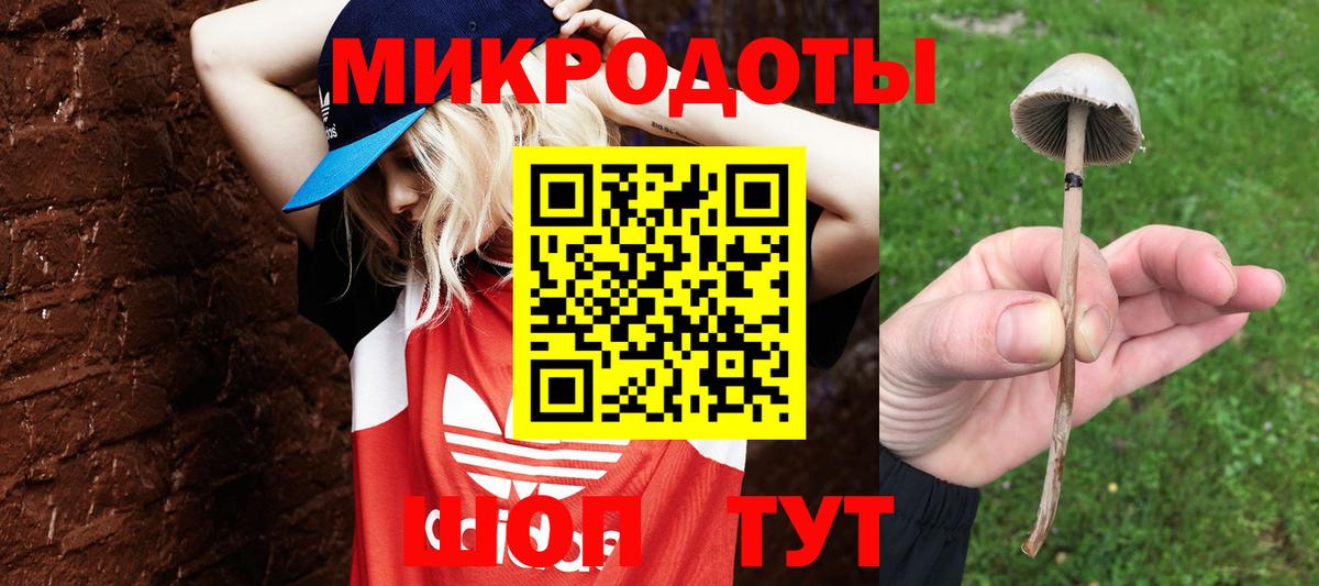 Псилоцибиновые грибы Cubensis  Вход с VPN  Ялуторовск  Псилоцибиновые грибы Magic Shrooms 