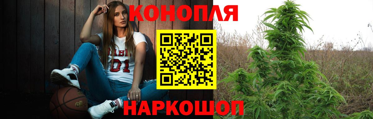 Бошки марихуана THC 21%  Бошки марихуана тримм  Ялуторовск  Бошки марихуана VHQ  Вход с VPN 